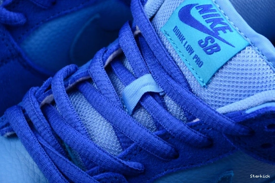 Low Nike Raspberry Dunk SB DM0807-400 Blue 0121